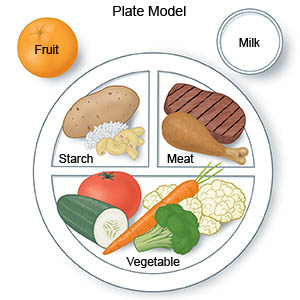 Plate Model